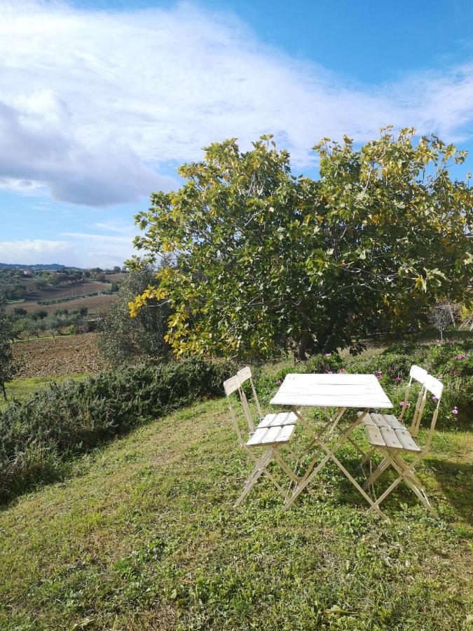 Agriturismo I Ciliegi Appartamento Ginestra Montignano Exterior photo